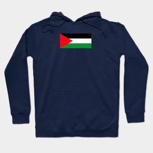 PALESTINE flag Hoodie